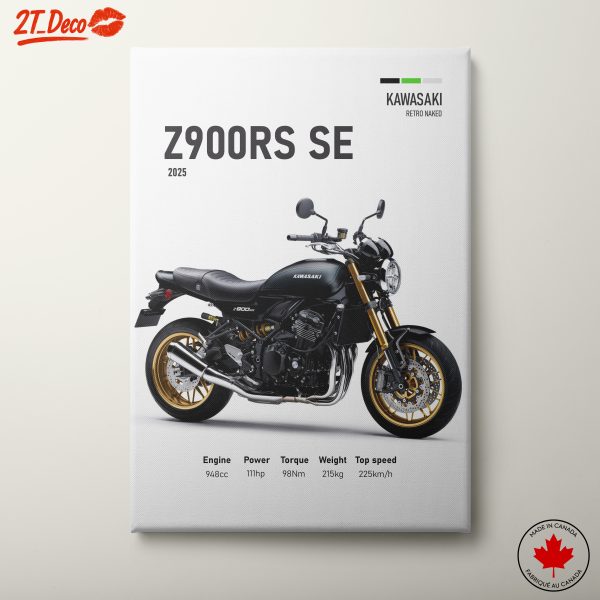 Kawasaki Z900RS SE Motorcycle Art