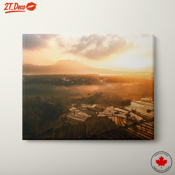 Serene Nature Landscape at Sunset