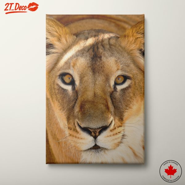 Majestic Lion Portrait Wall Art 2