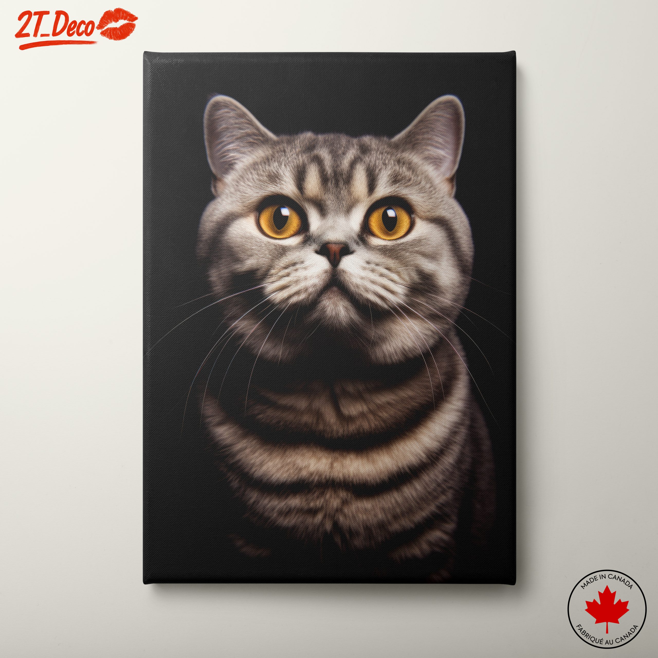 Beautiful Cat Portrait with Striking Eyes