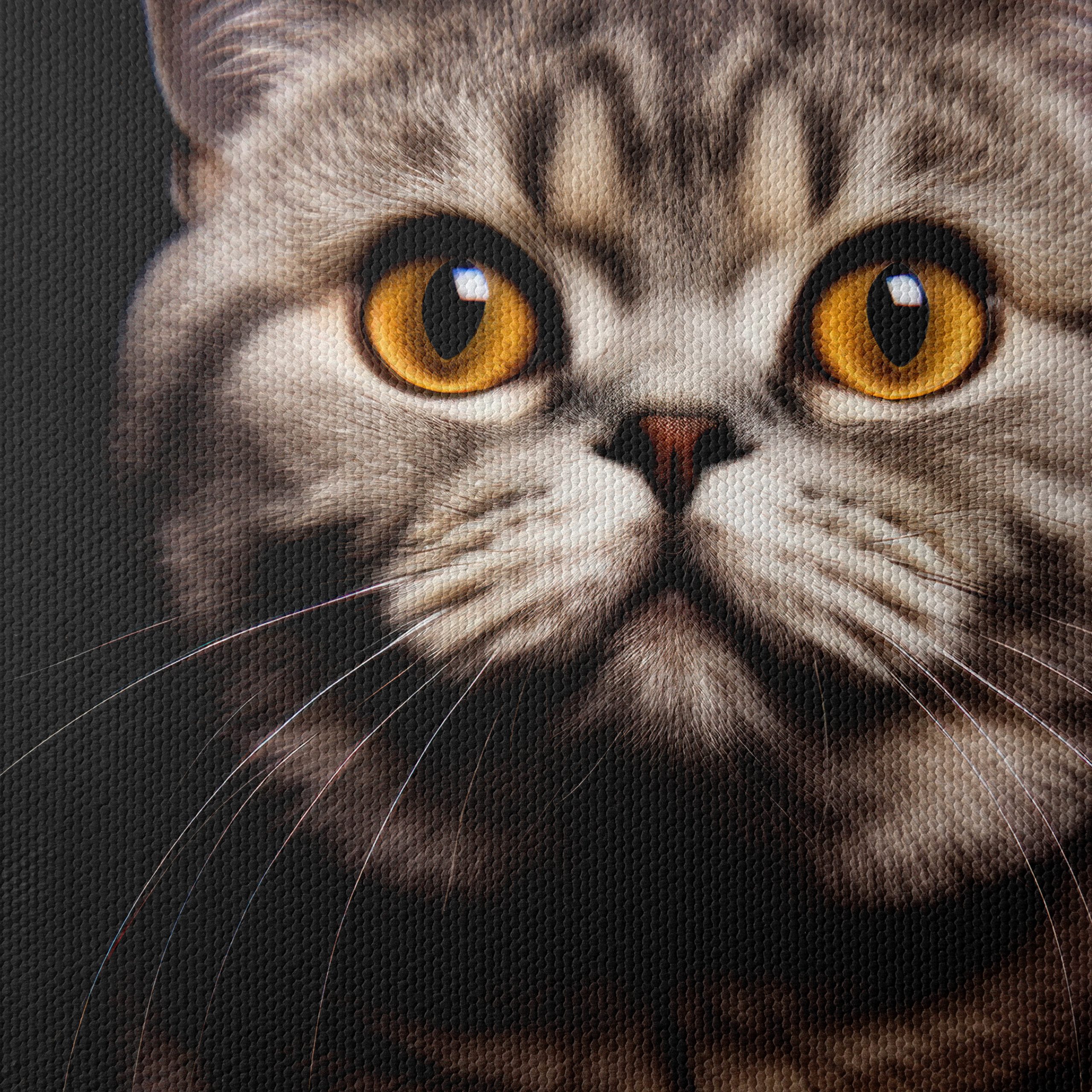 Beautiful Cat Portrait with Striking Eyes - Image 4