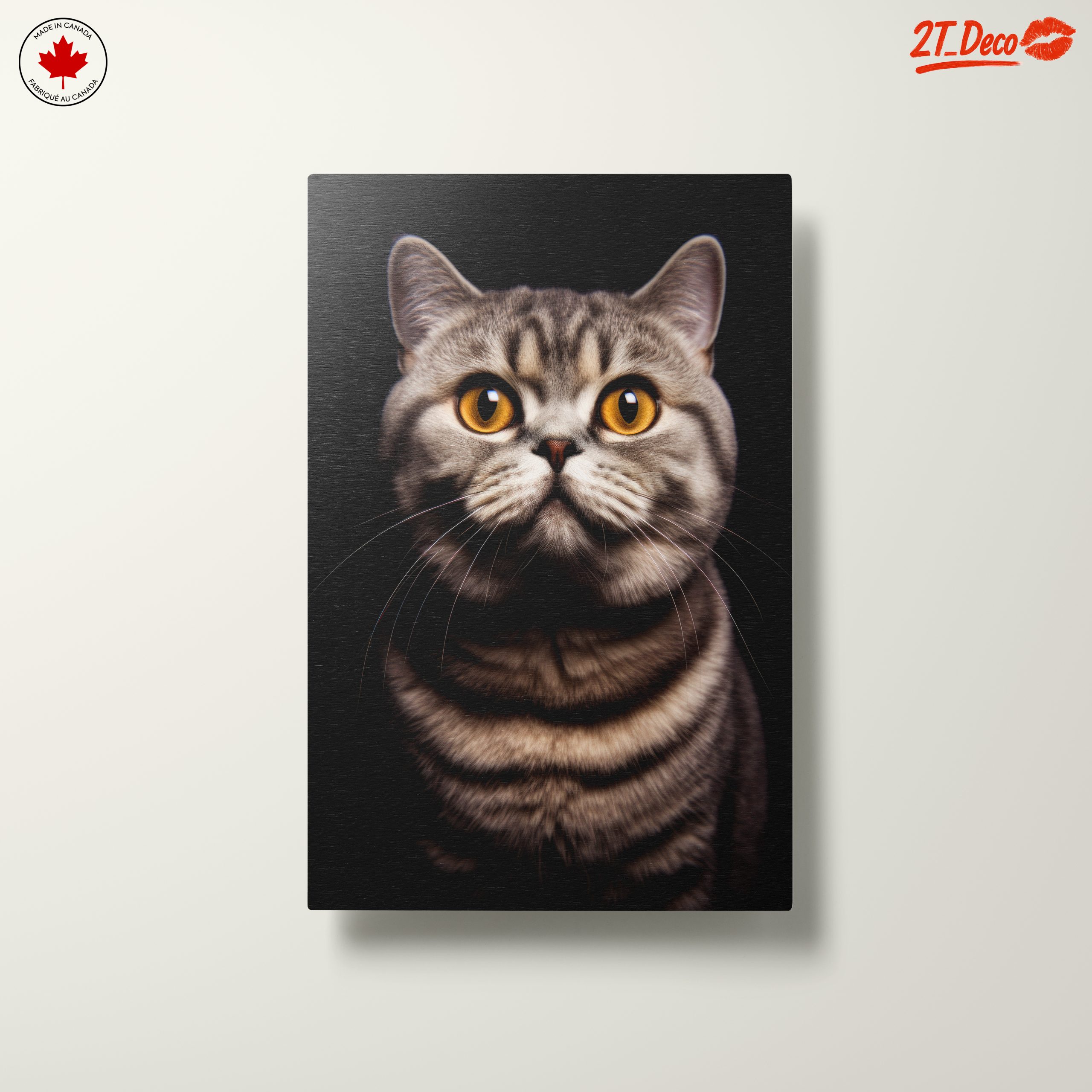 Beautiful Cat Portrait with Striking Eyes - Image 10