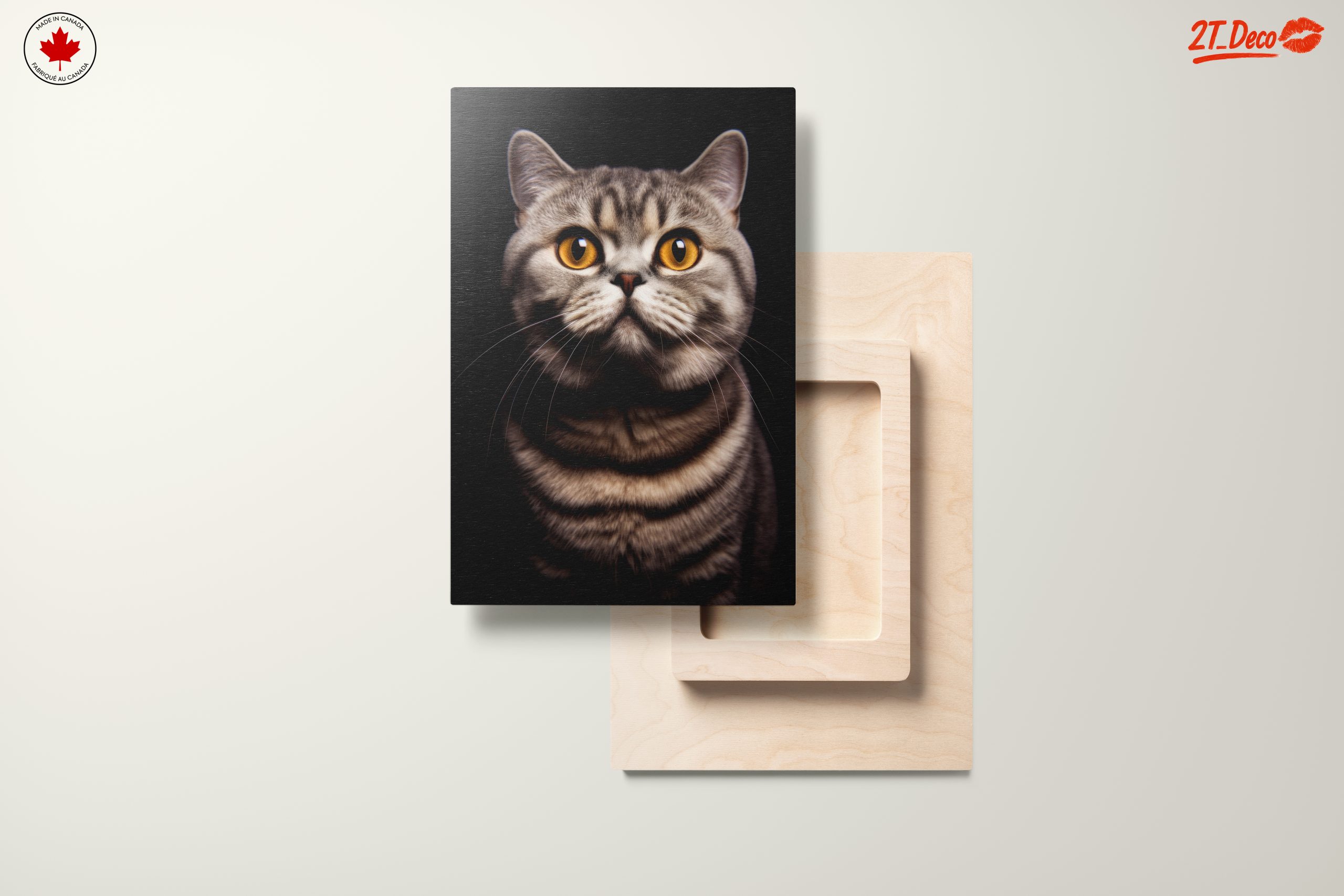 Beautiful Cat Portrait with Striking Eyes - Image 11