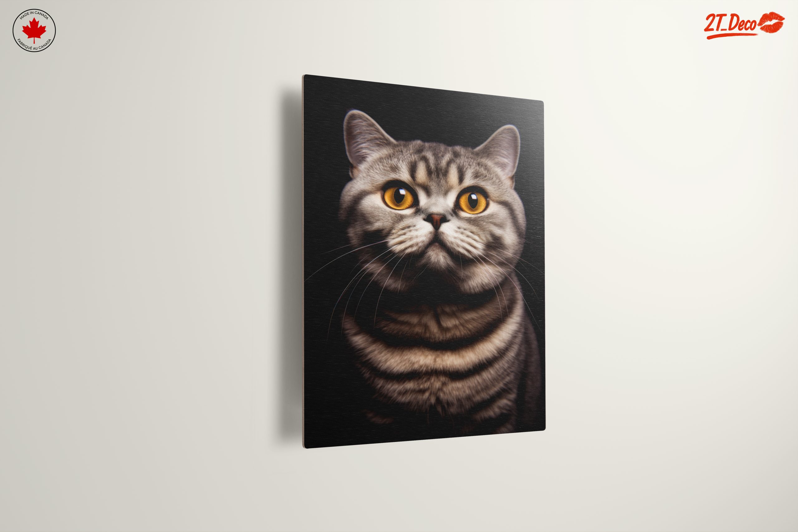 Beautiful Cat Portrait with Striking Eyes - Image 13