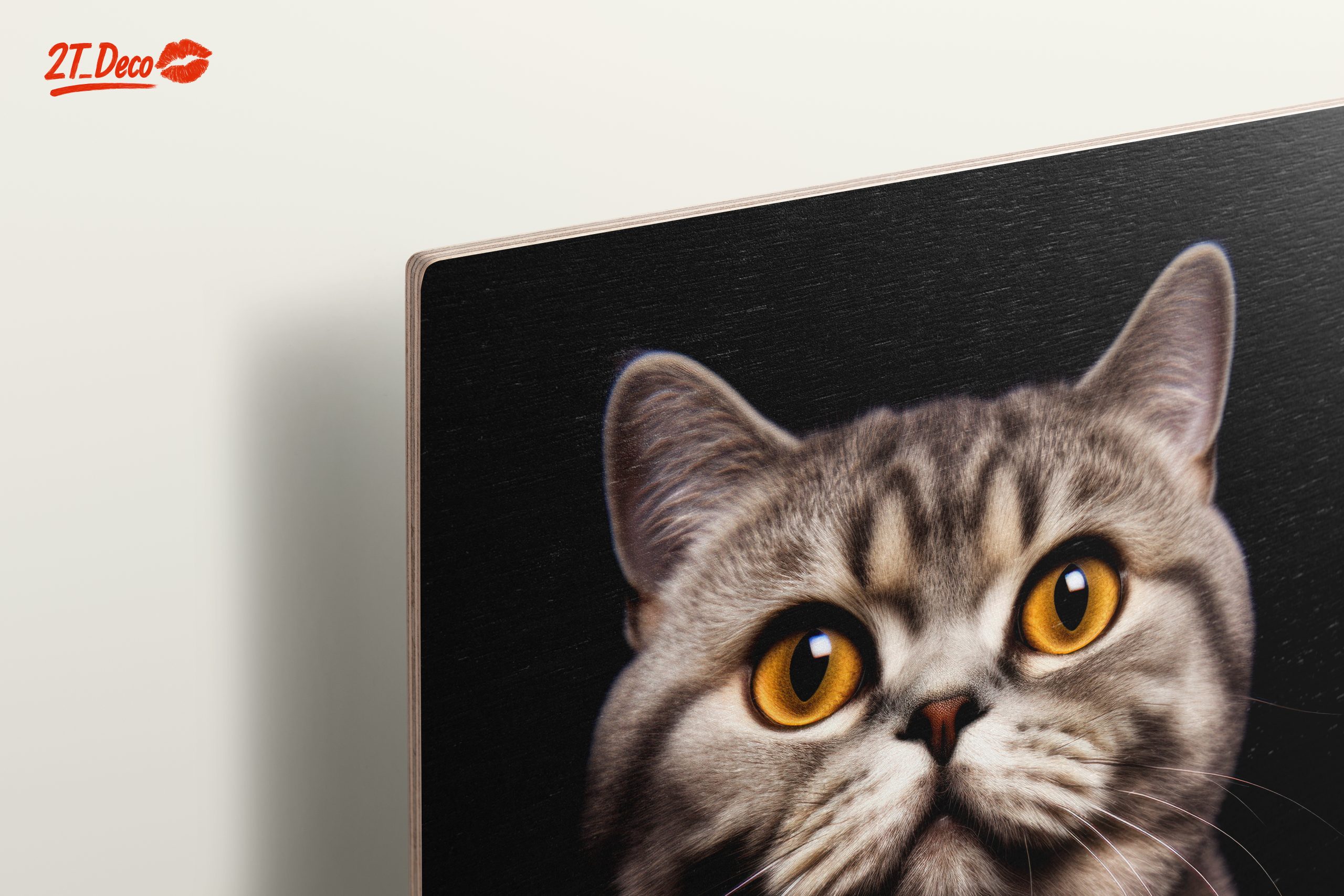 Beautiful Cat Portrait with Striking Eyes - Image 15