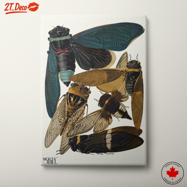 Dramatic Cicada Collection Art