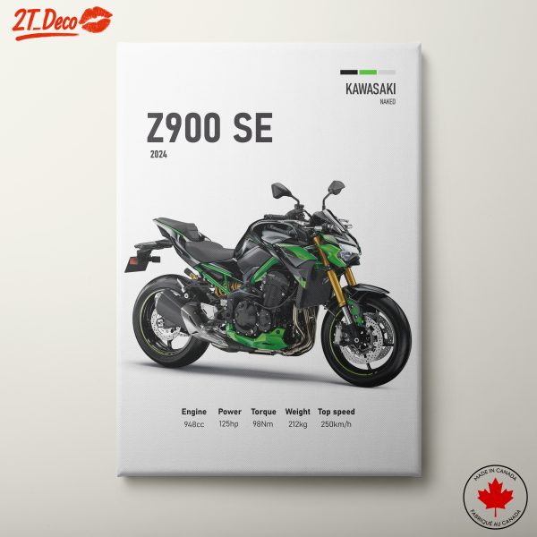 2024 Kawasaki Z900 SE Motorcycle