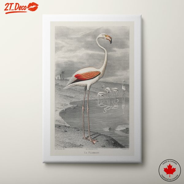 Beautiful Flamingo Artwork for Your Walls