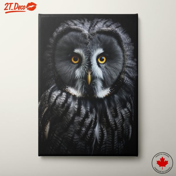 Stunning Close-Up Owl Portrait