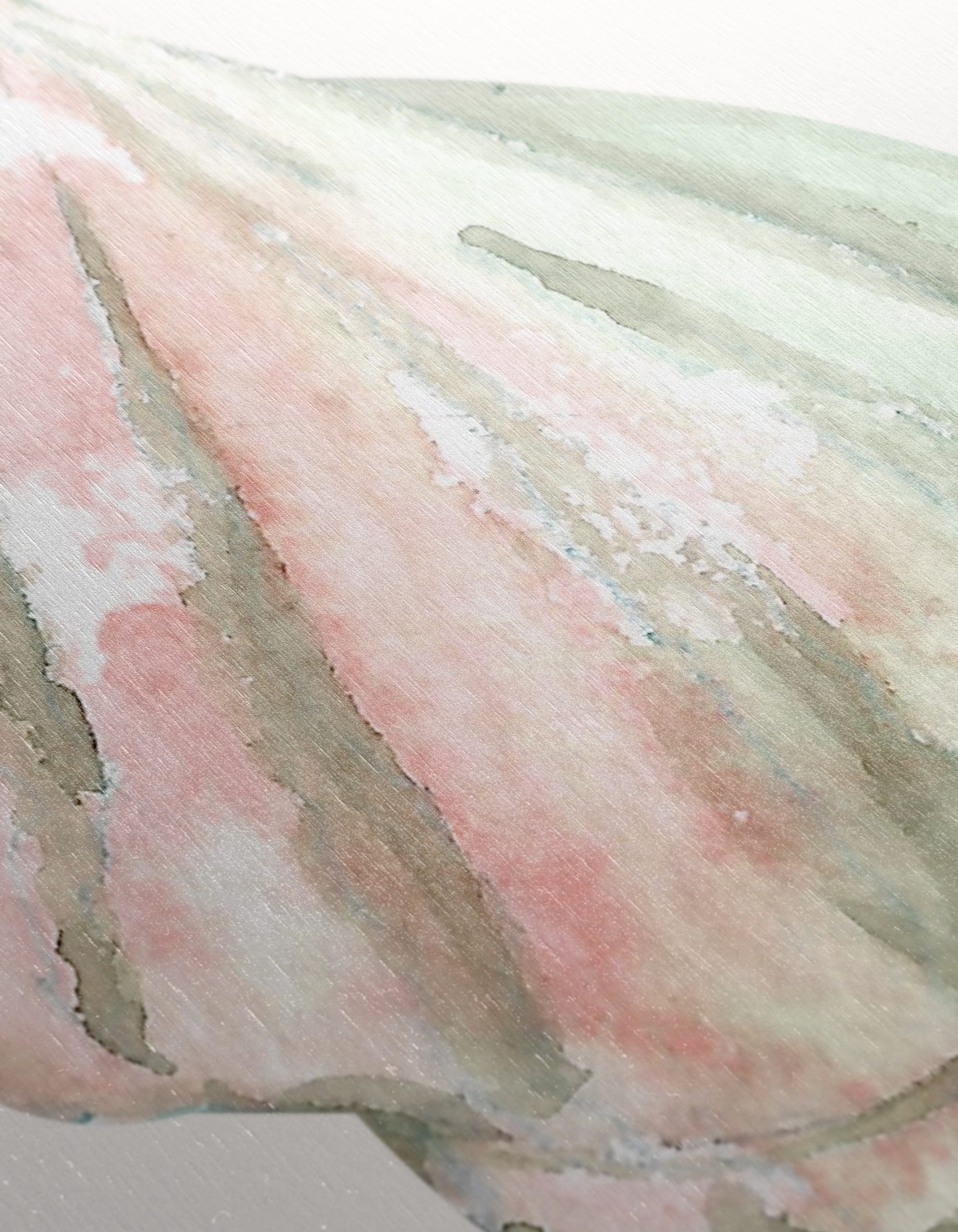 Delicate Watercolor Shell Art for Coastal Decor - Image 12