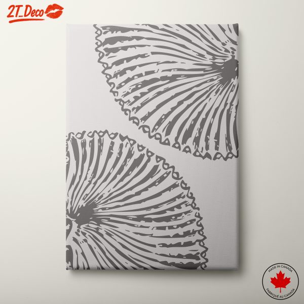 Elegant Abstract Shell Patterns