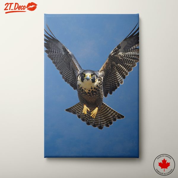 Peregrine Falcon in Flight Wall Art