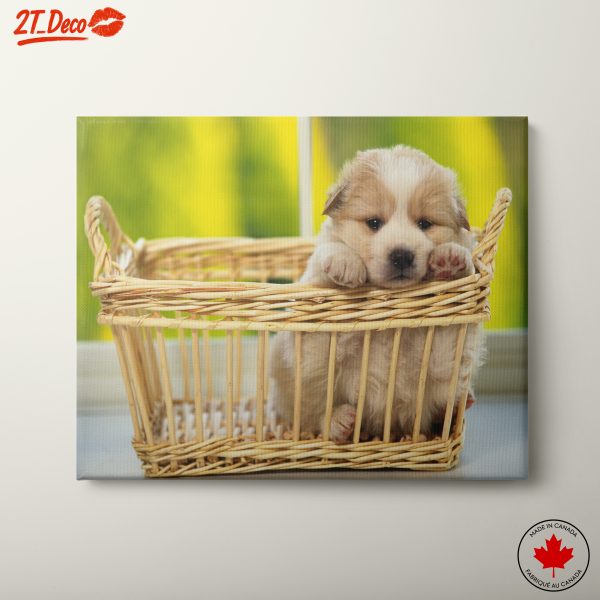 Adorable Puppy in a Basket