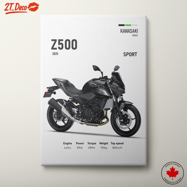 Kawasaki Z500 Sport Motorcycle Artwork