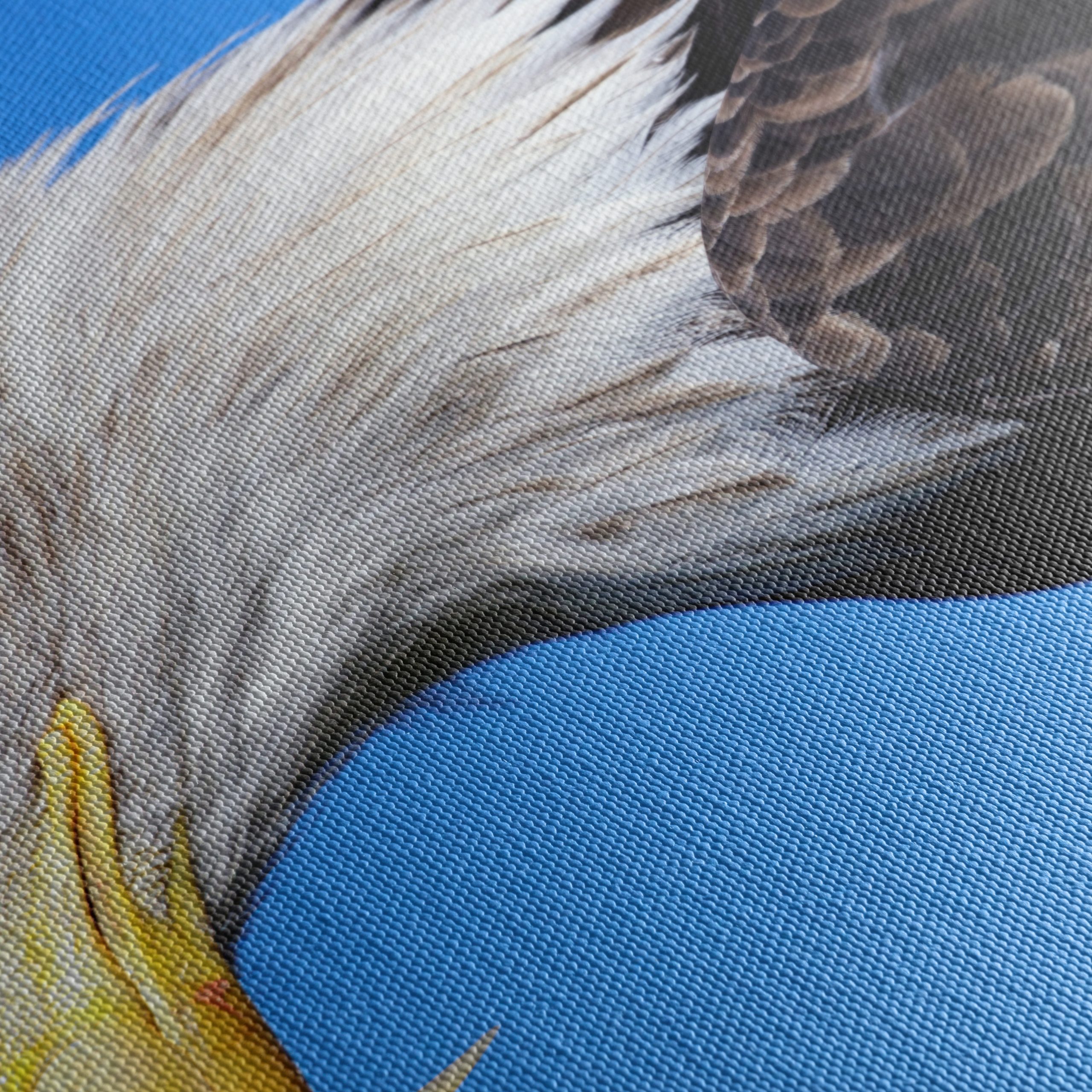 Majestic Eagle Close-Up - Image 5