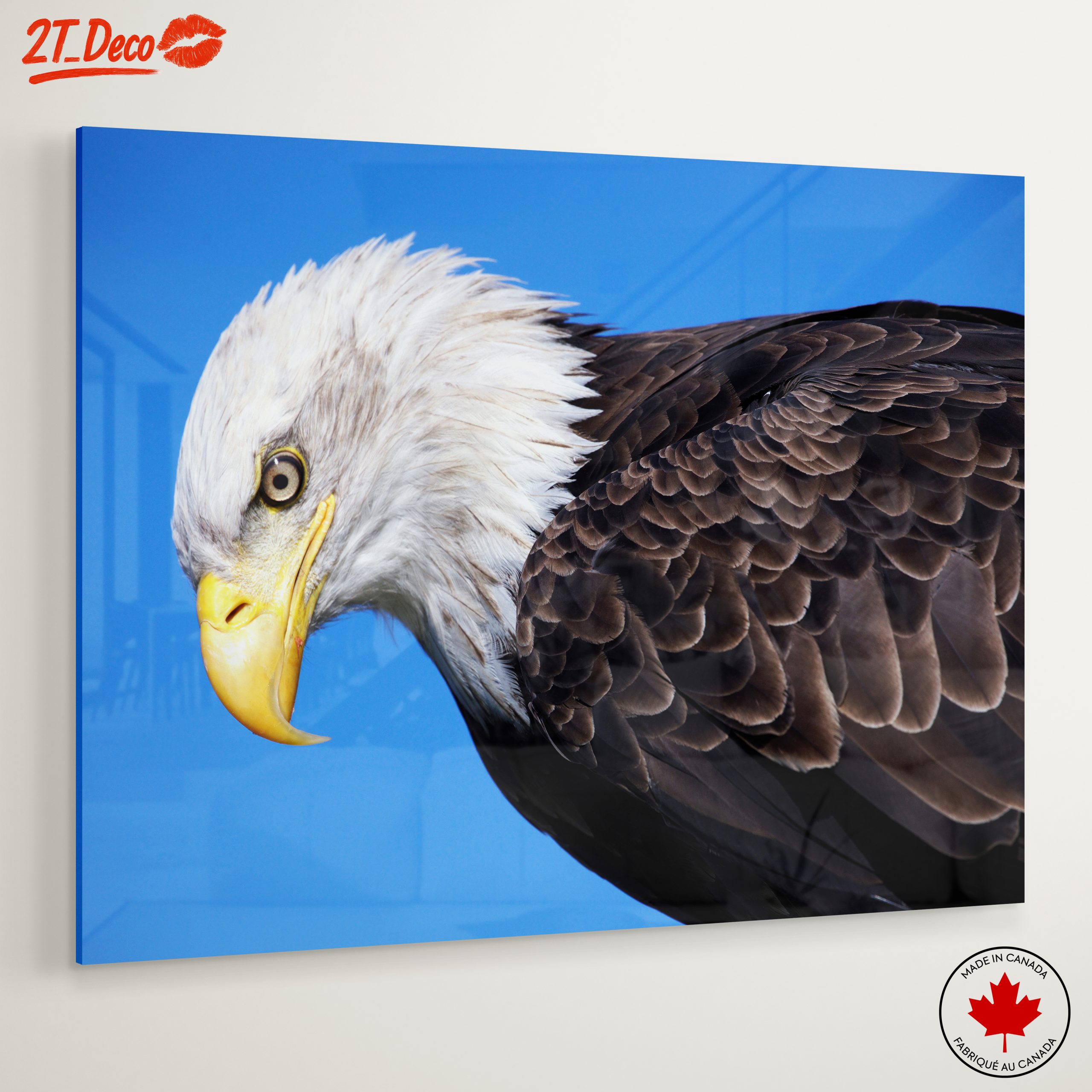Majestic Eagle Close-Up - Image 6