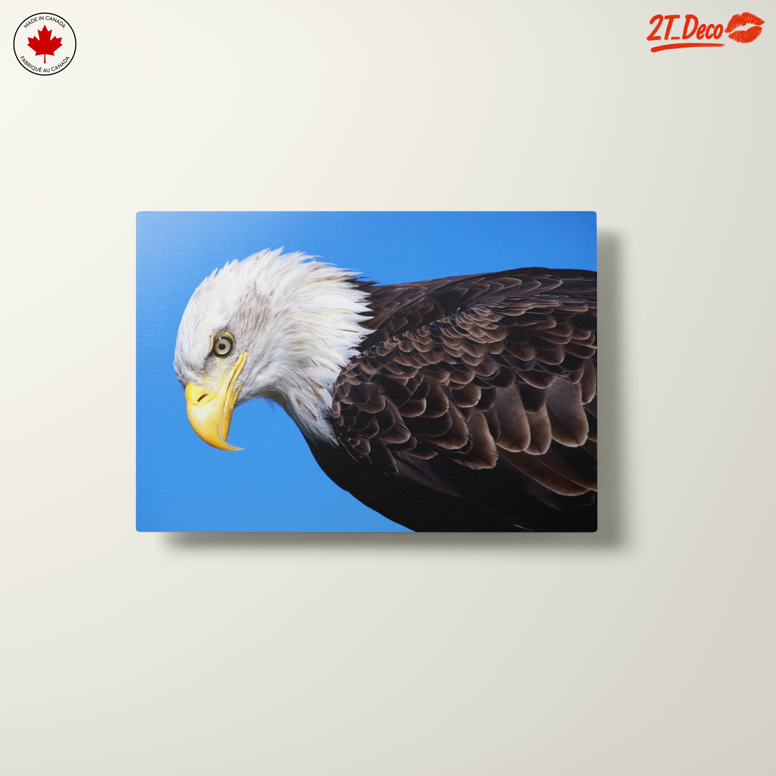 Majestic Eagle Close-Up - Image 10
