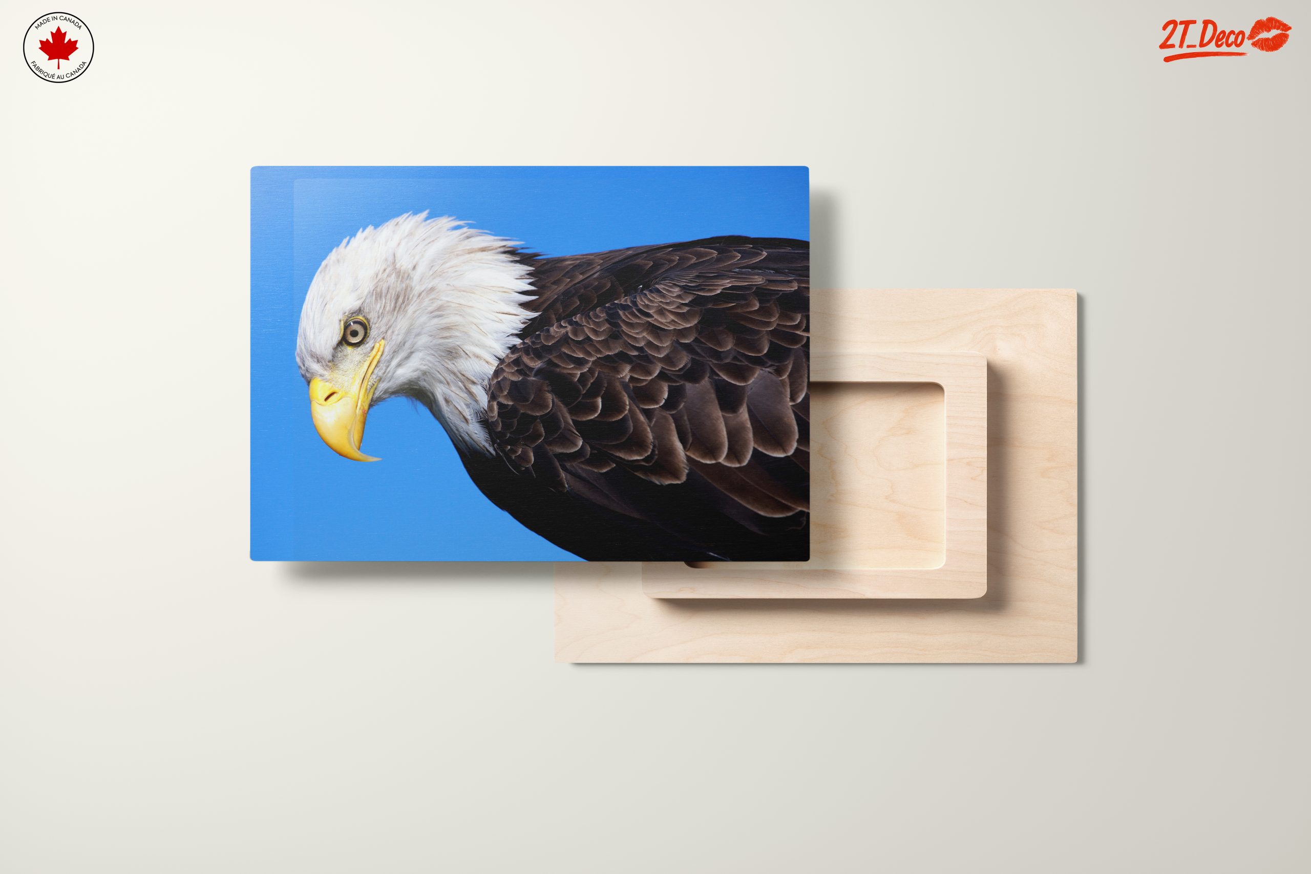 Majestic Eagle Close-Up - Image 11