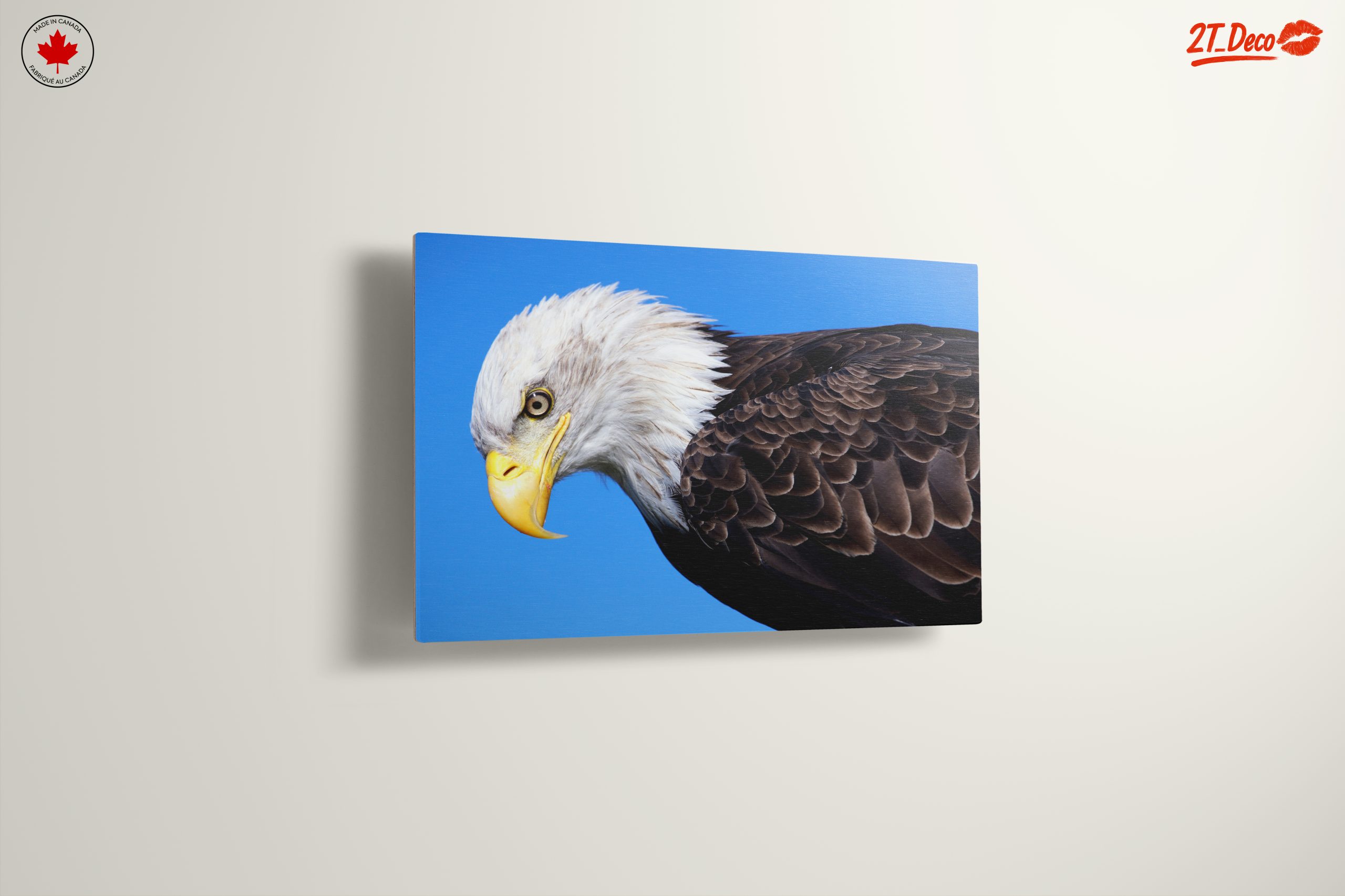 Majestic Eagle Close-Up - Image 13