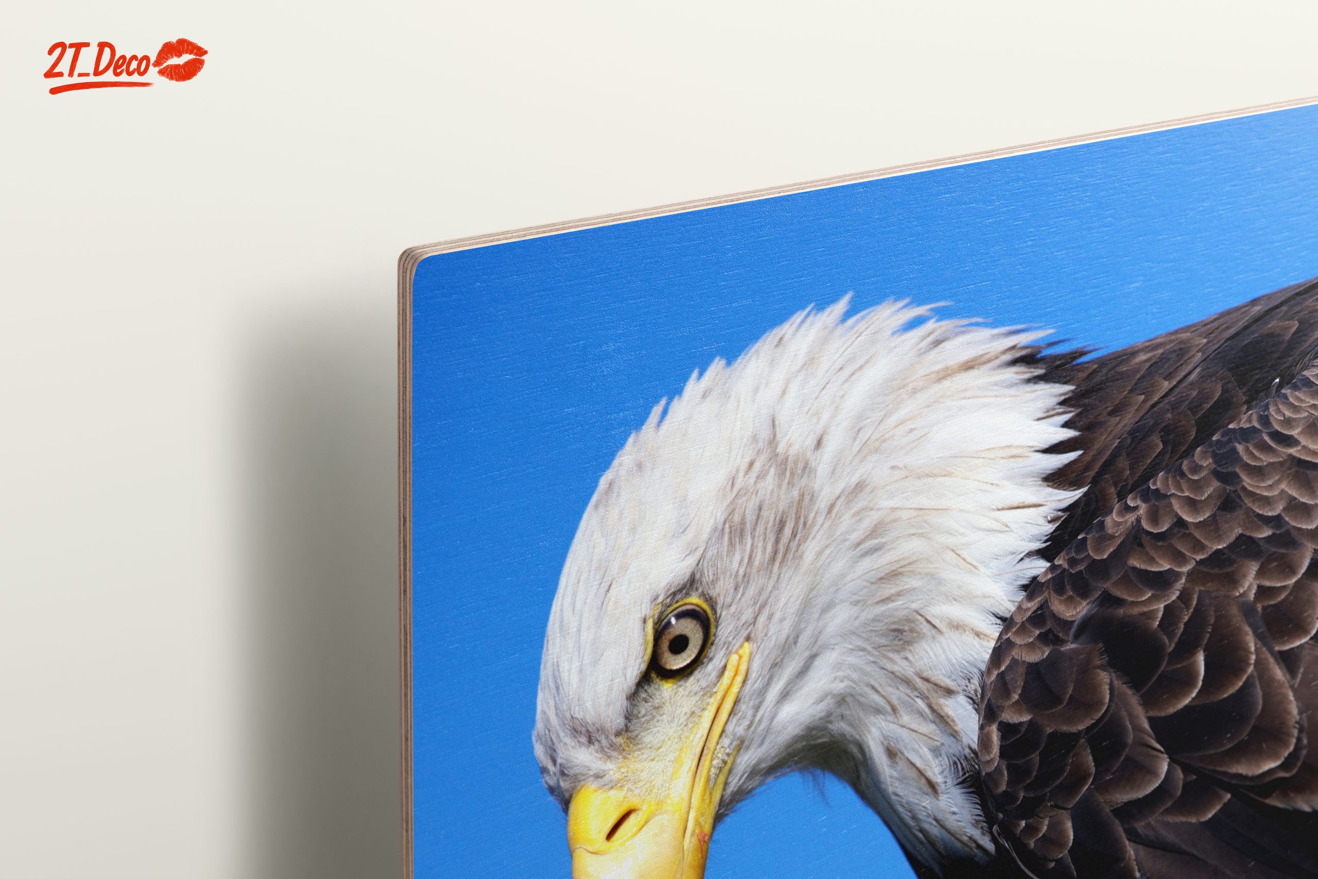 Majestic Eagle Close-Up - Image 15