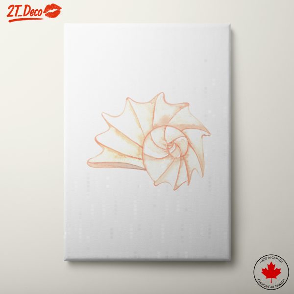Beautiful Seashell Illustrations for Nature Lovers