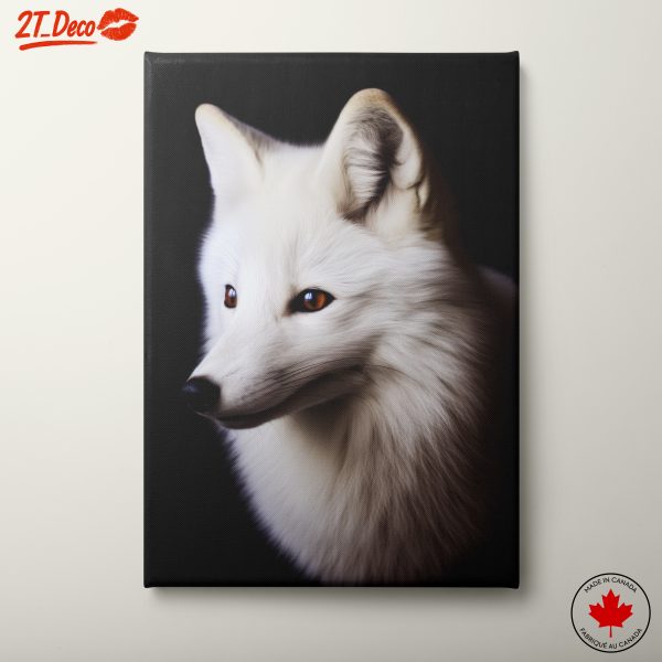 Stunning Arctic Fox Portrait