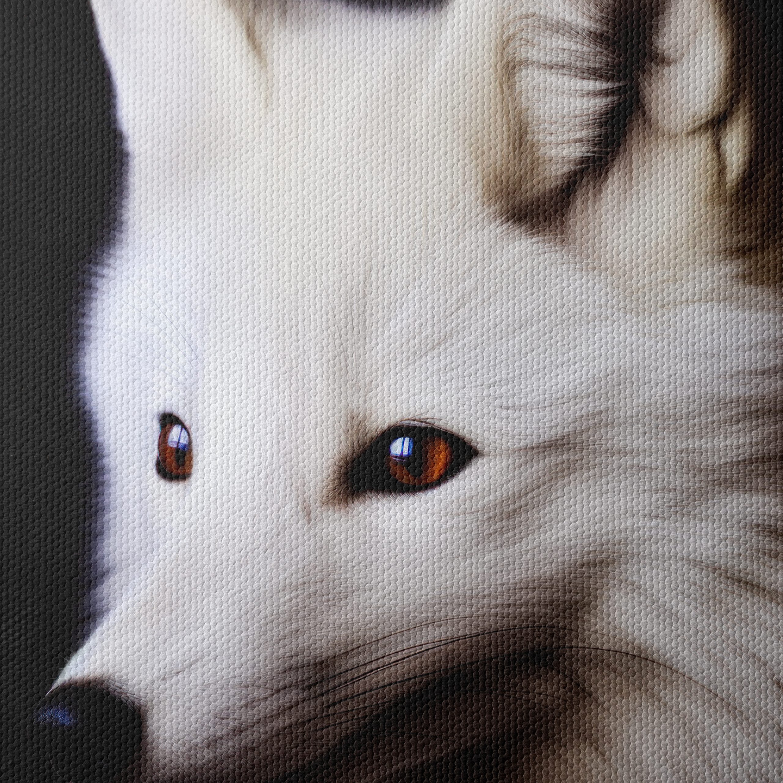 Stunning Arctic Fox Portrait - Image 4