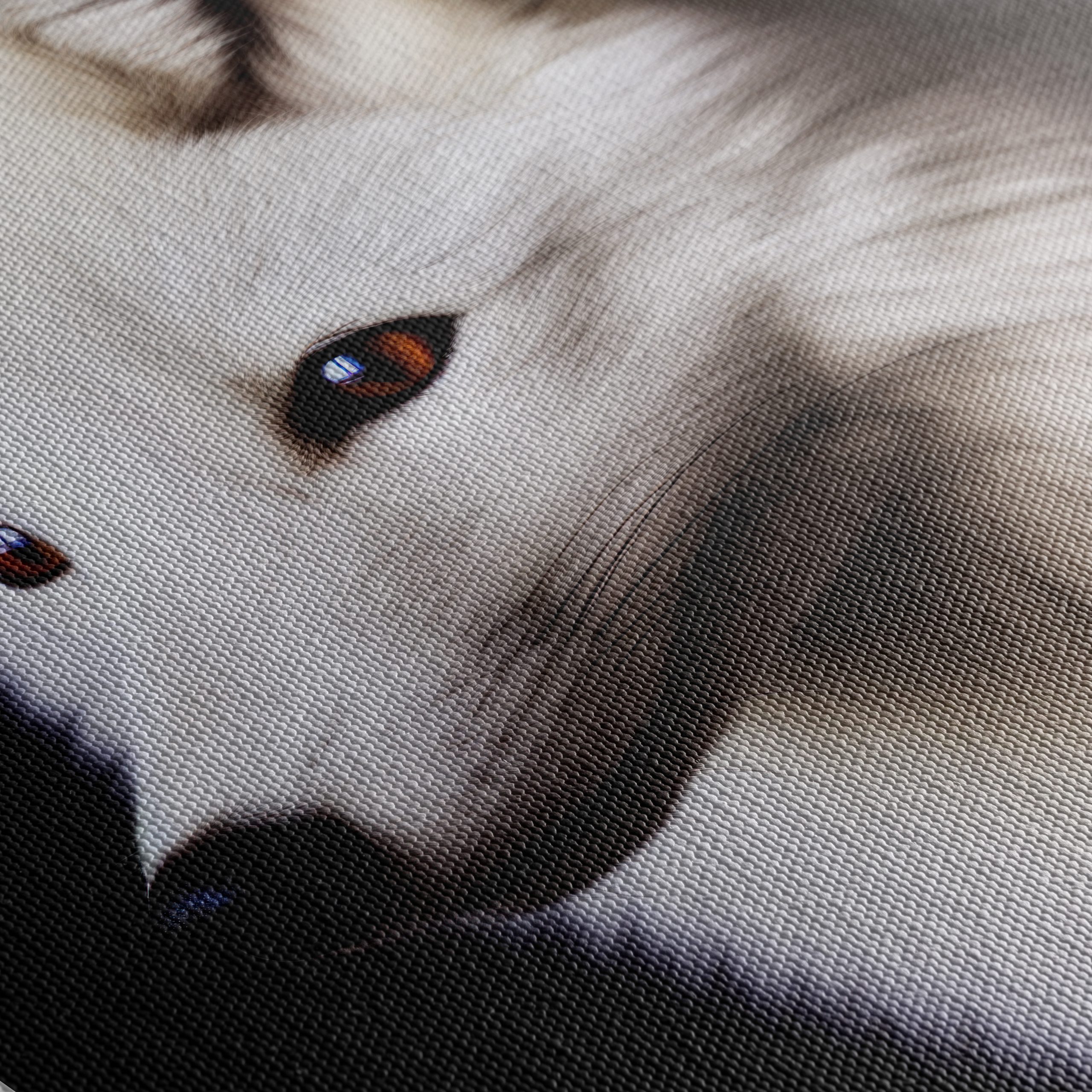 Stunning Arctic Fox Portrait - Image 5