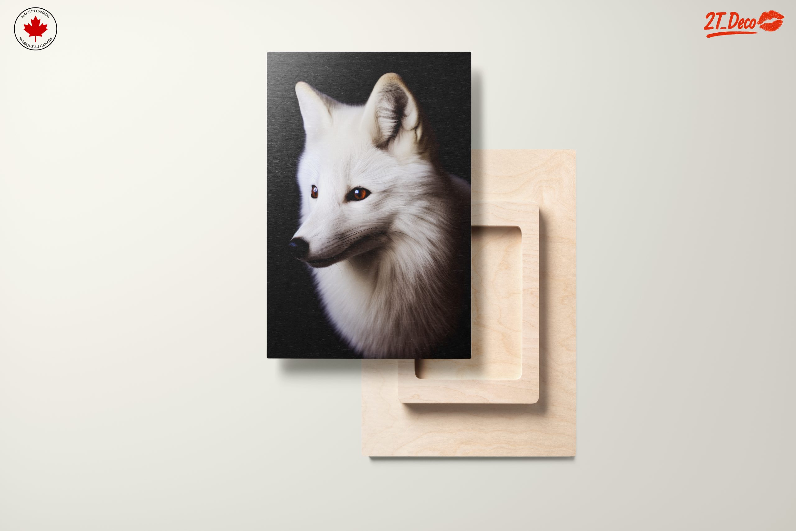 Stunning Arctic Fox Portrait - Image 11