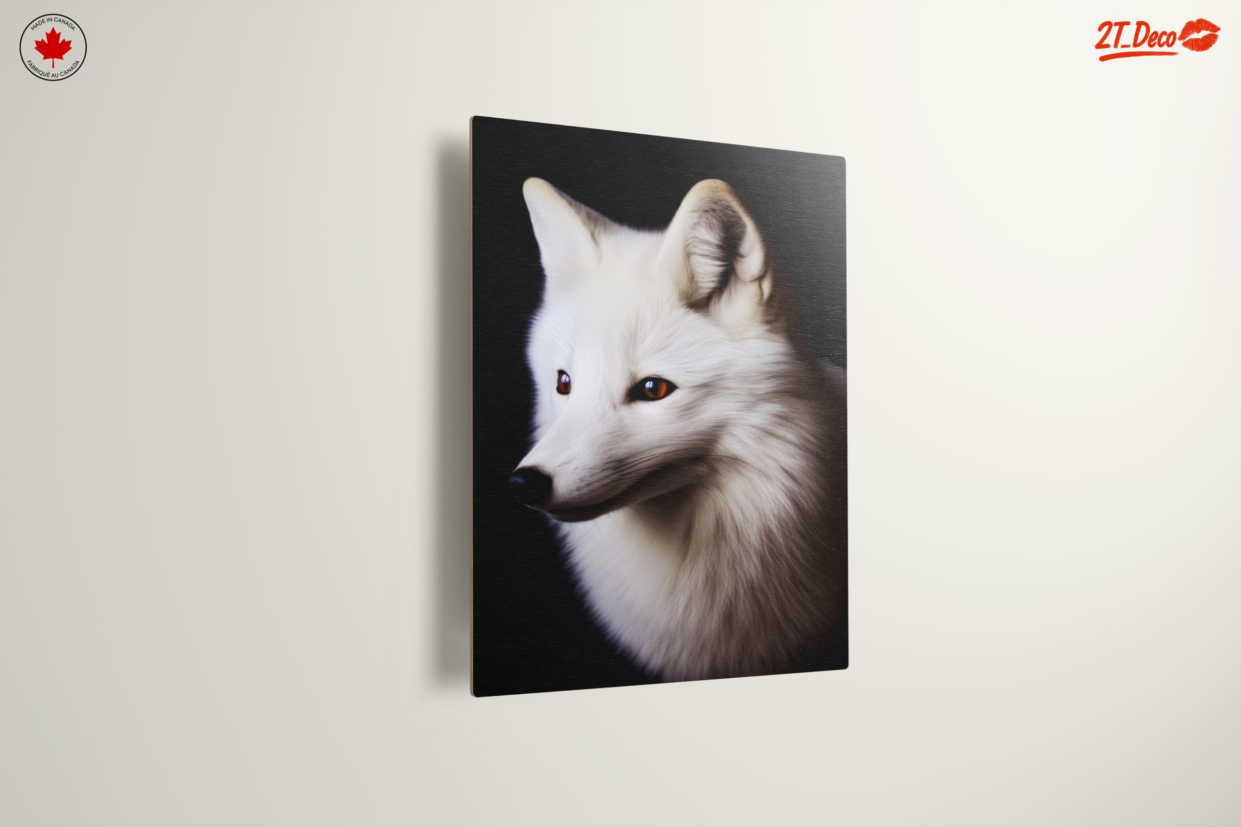 Stunning Arctic Fox Portrait - Image 13