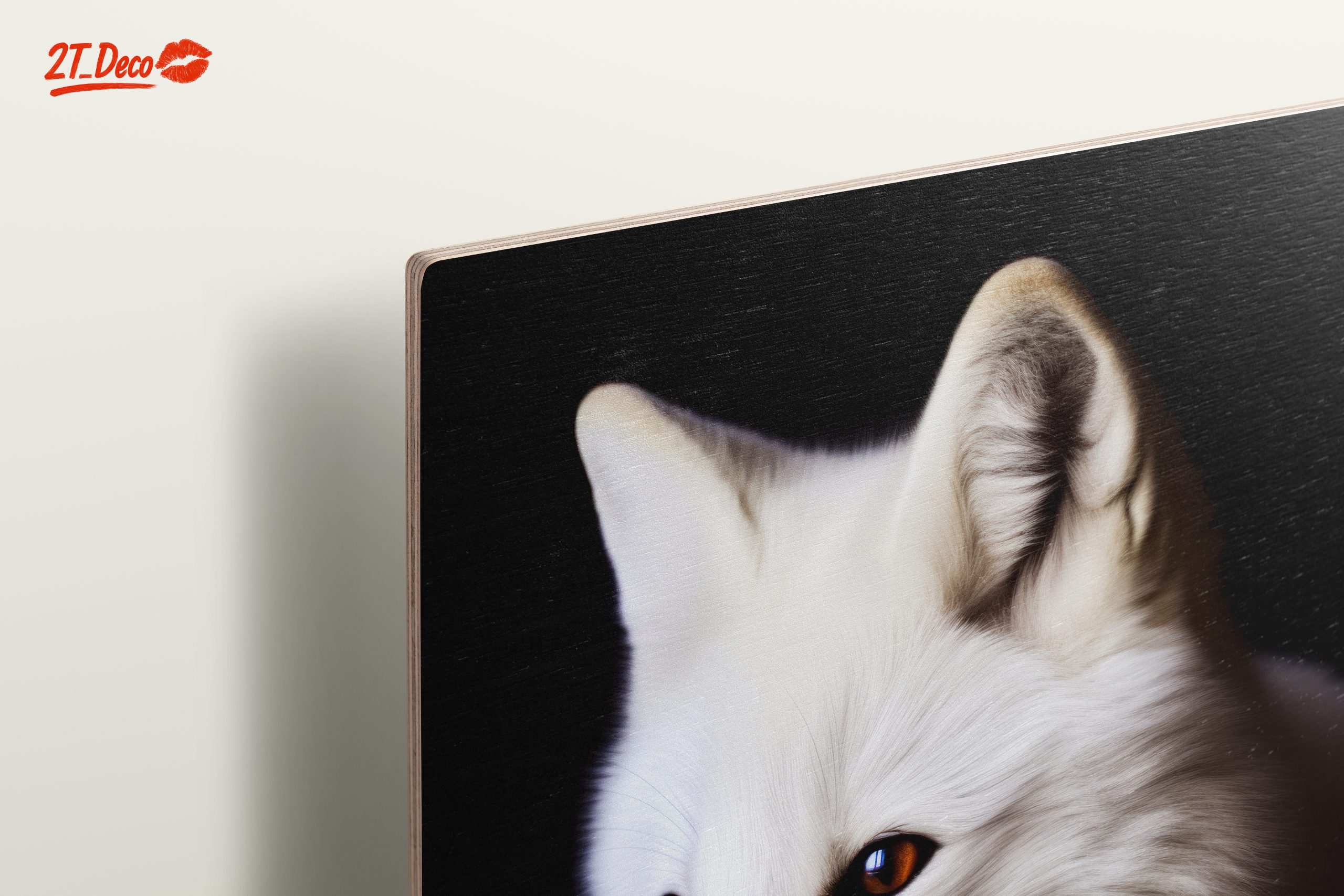 Stunning Arctic Fox Portrait - Image 15
