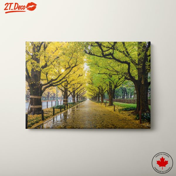 Serene Nature Pathway with Autumn Foliage