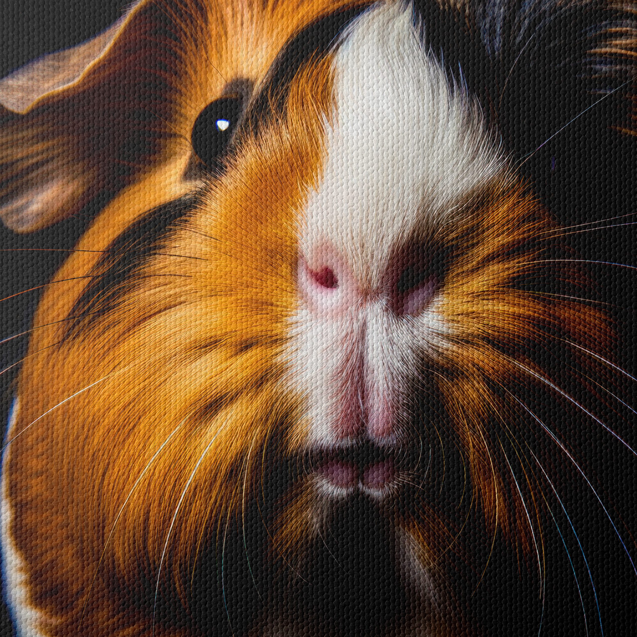 Close-Up of a Beautiful Guinea Pig - Image 4