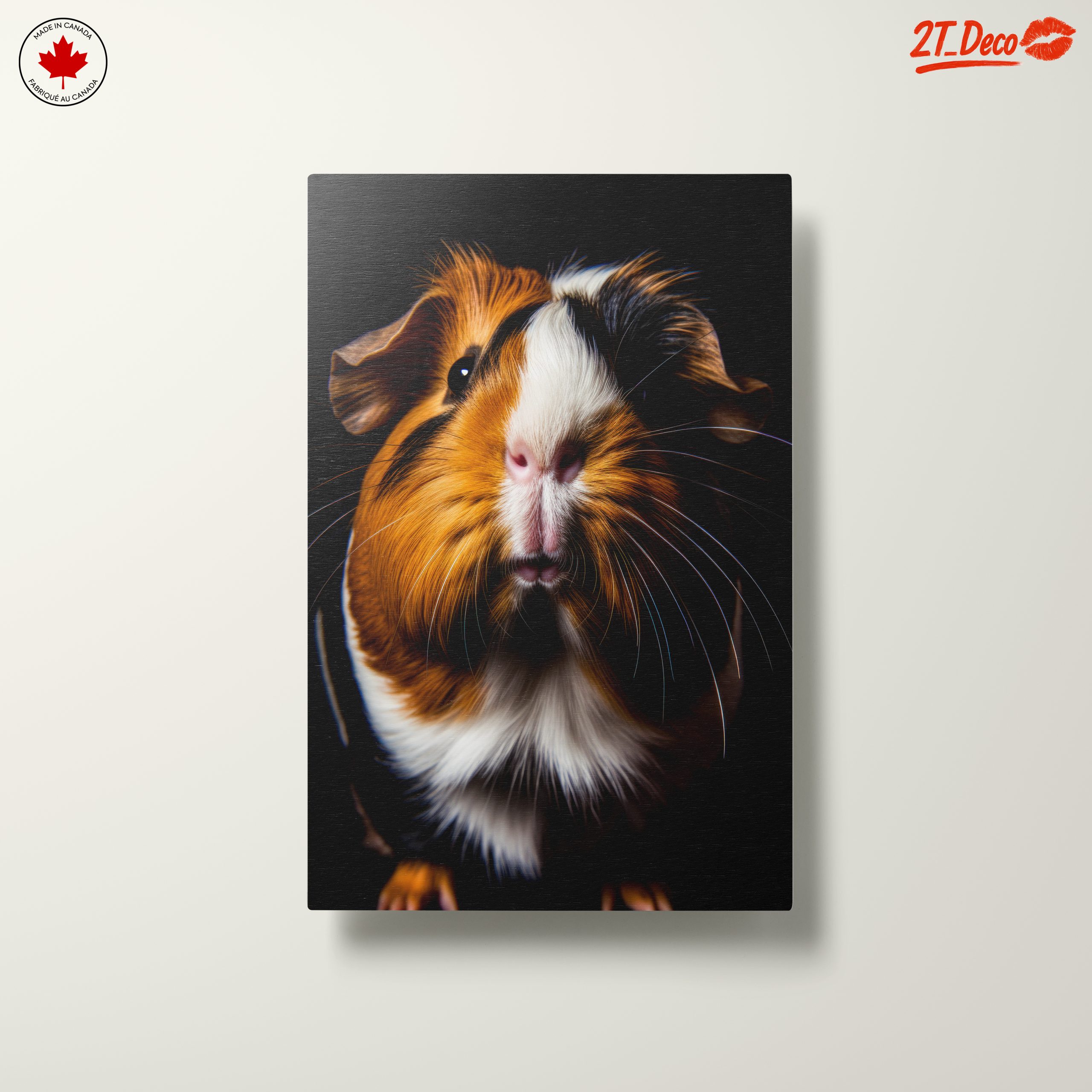 Close-Up of a Beautiful Guinea Pig - Image 10