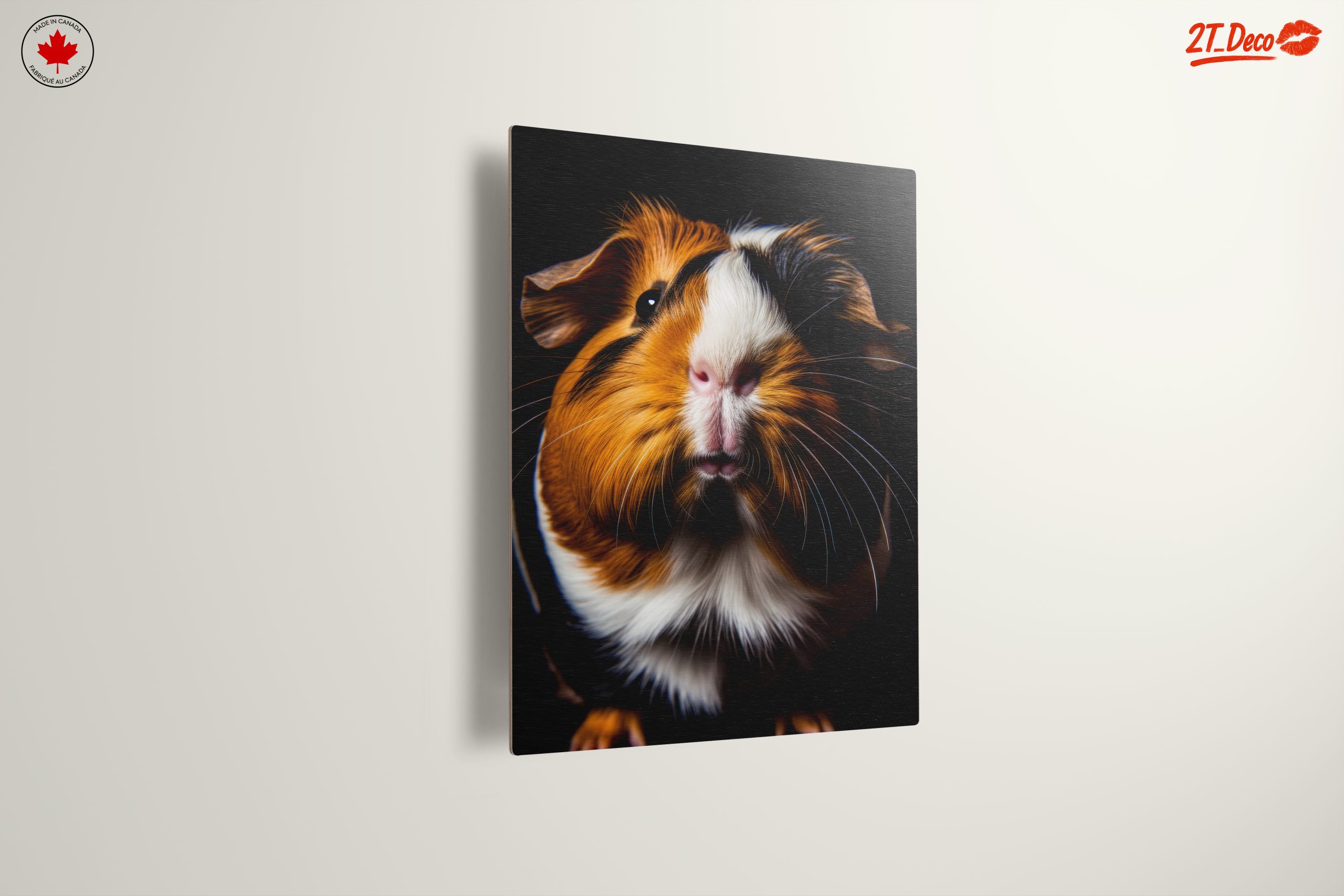 Close-Up of a Beautiful Guinea Pig - Image 13