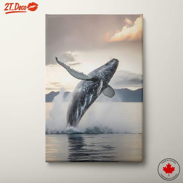 Majestic Humpback Whale Breaching