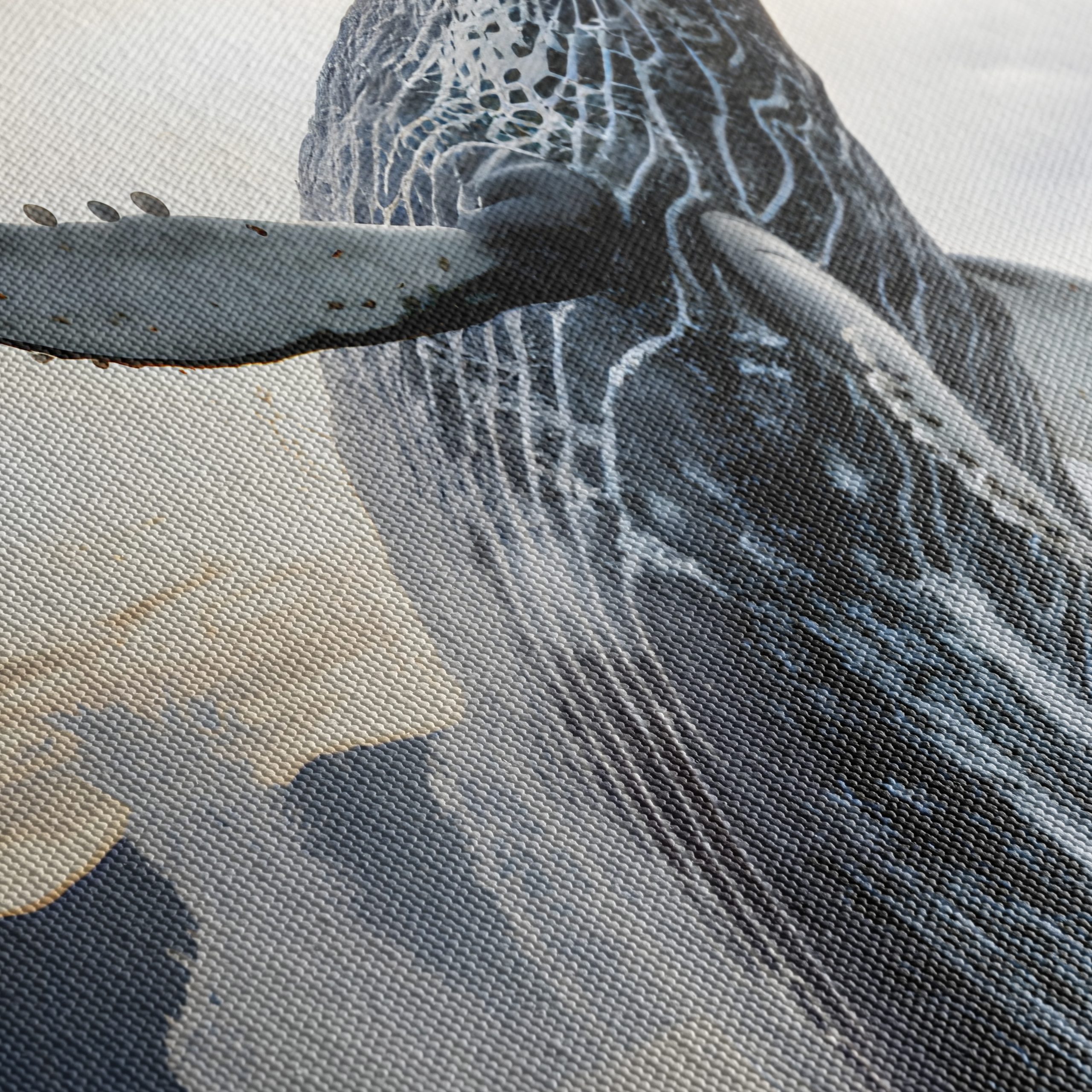 Majestic Humpback Whale Breaching - Image 5