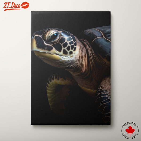 Realistic Turtle Close-Up Wall Art