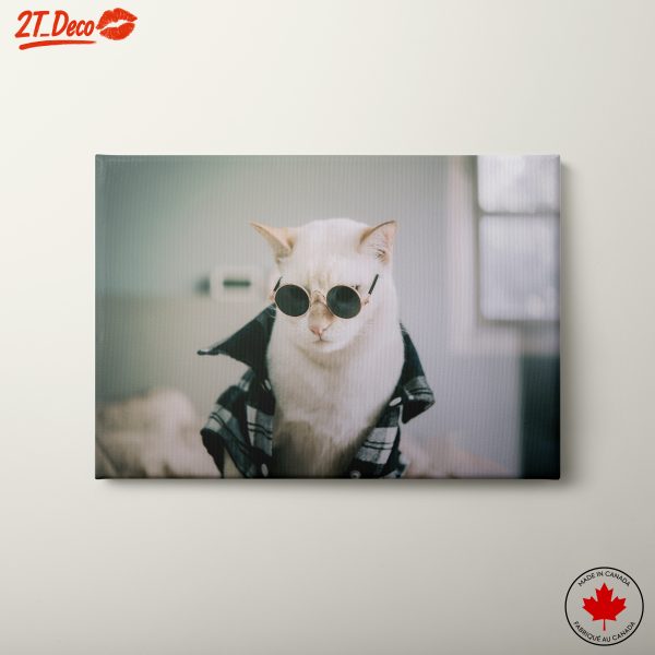 Stylish Cat in Sunglasses Wall Art
