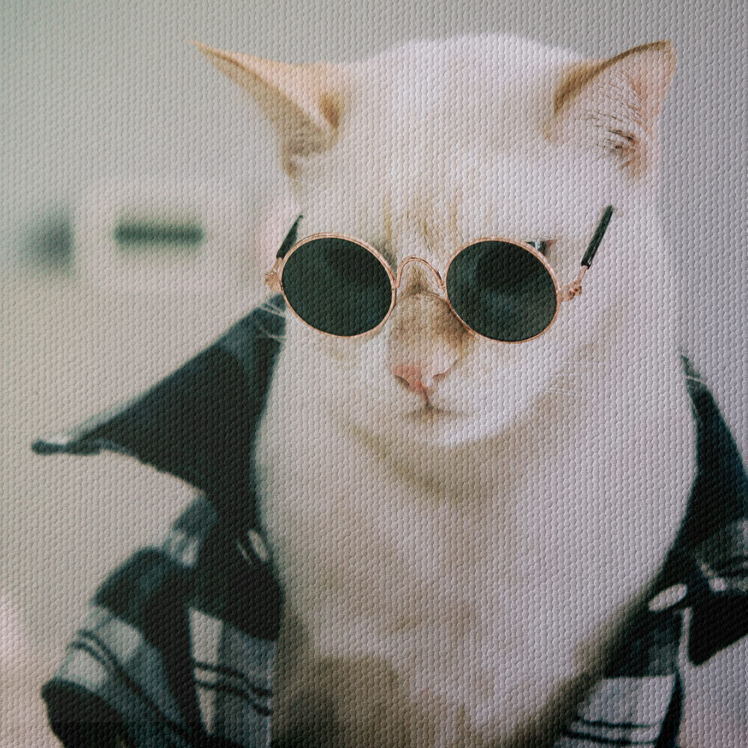 Stylish Cat in Sunglasses Wall Art - Image 4