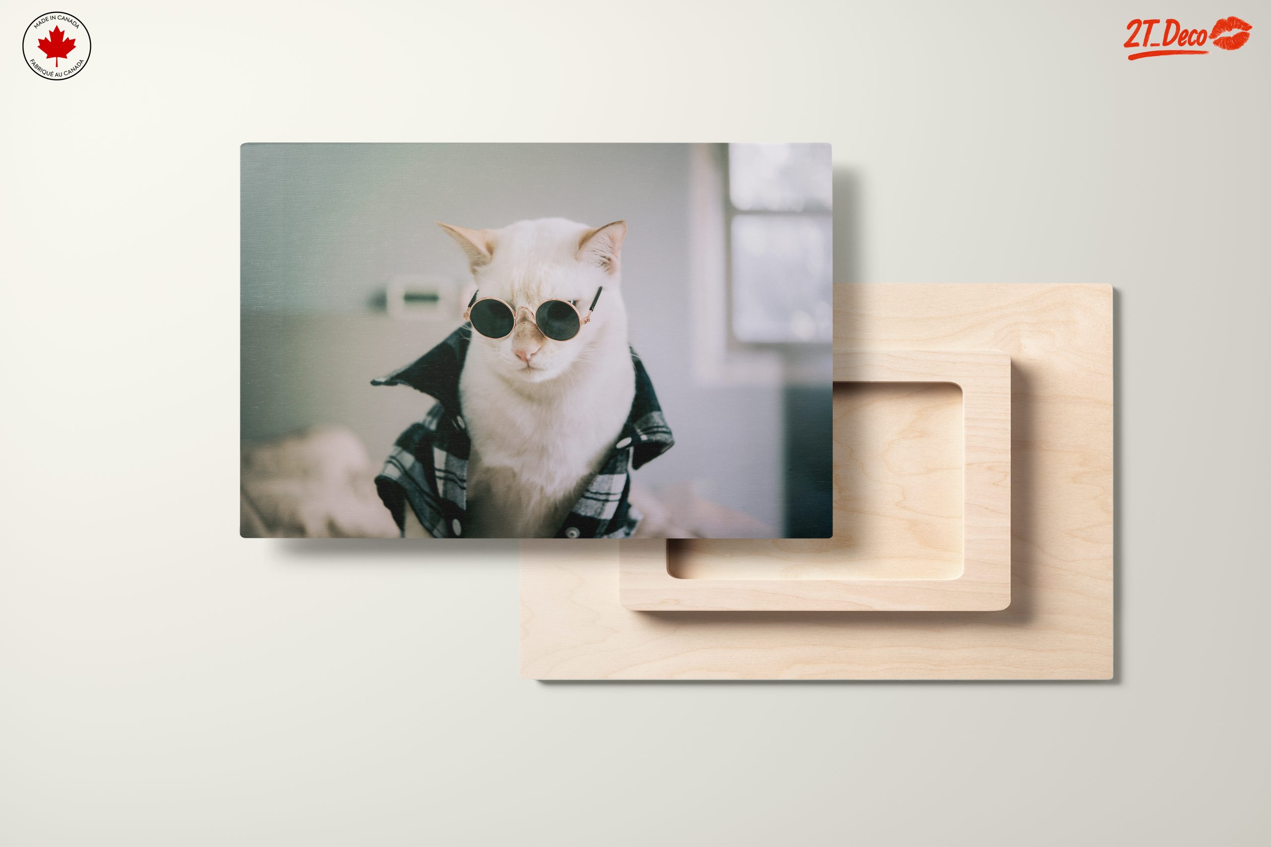 Stylish Cat in Sunglasses Wall Art - Image 11