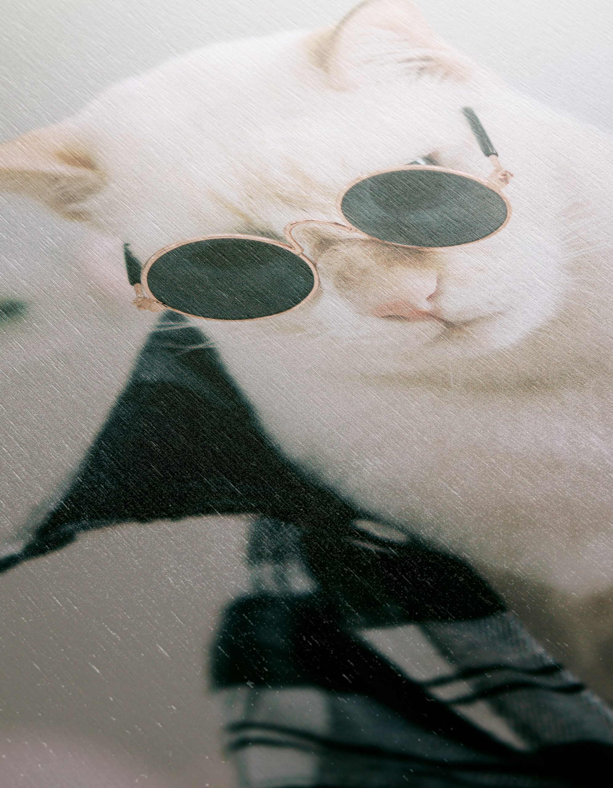 Stylish Cat in Sunglasses Wall Art - Image 12