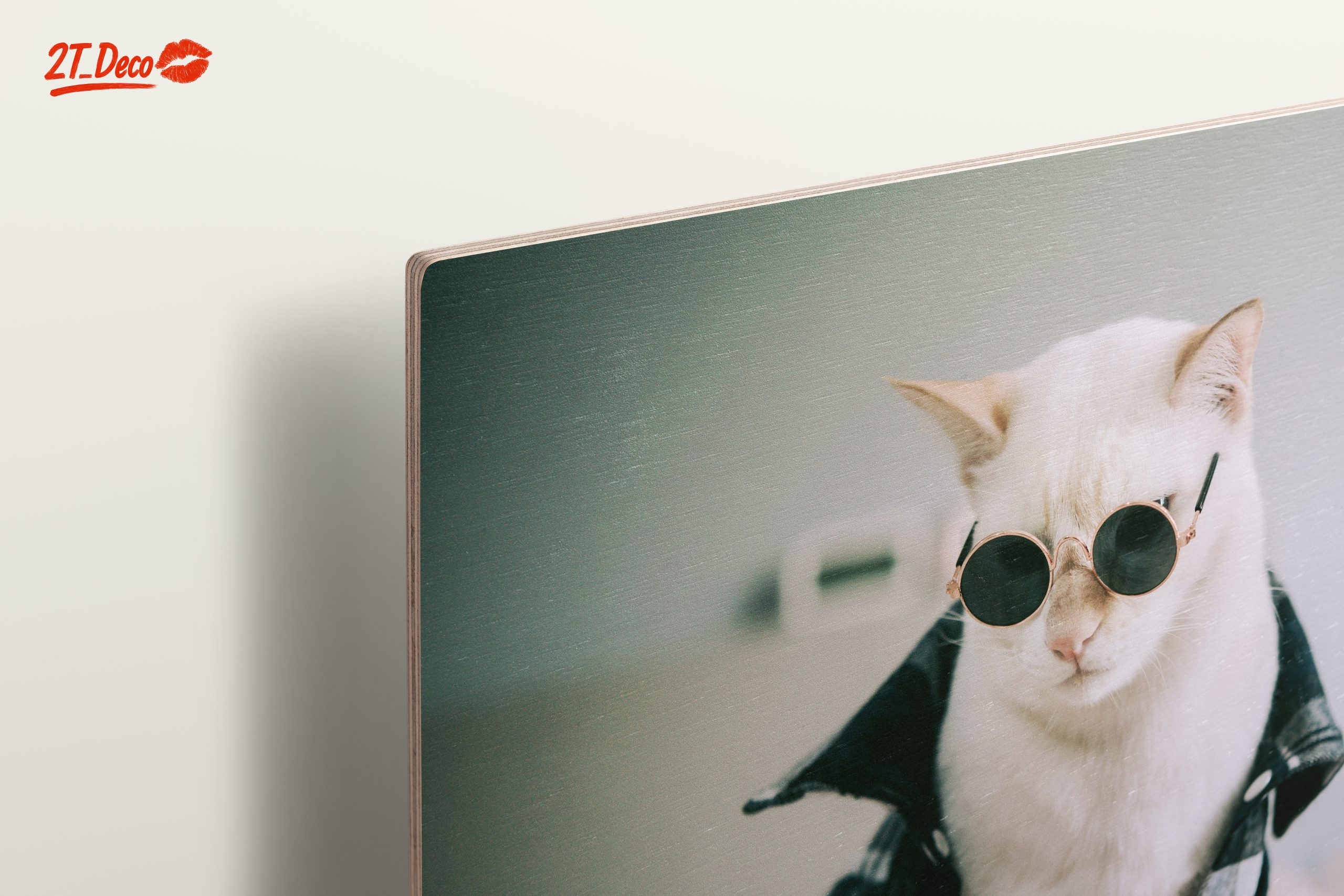 Stylish Cat in Sunglasses Wall Art - Image 15