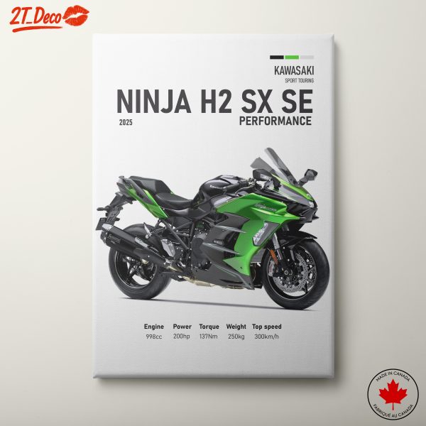 Kawasaki Ninja H2 SX SE Performance Art