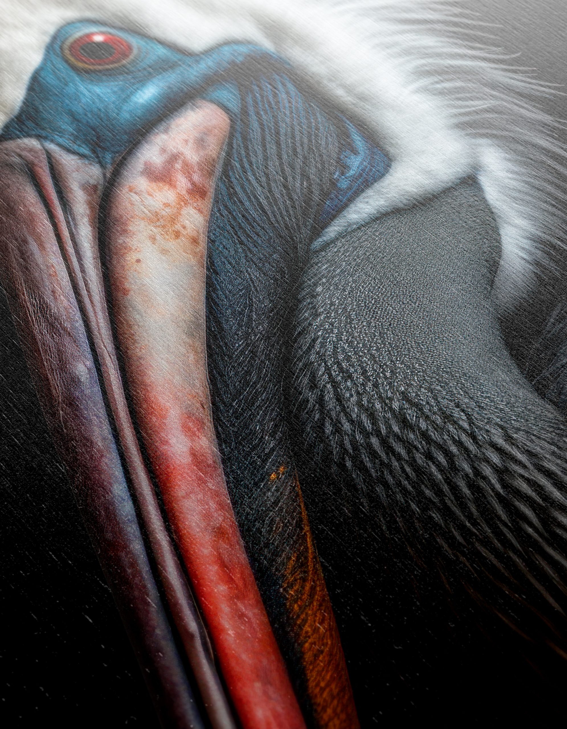 Stunning Pelican Wall Art 2 - Image 12