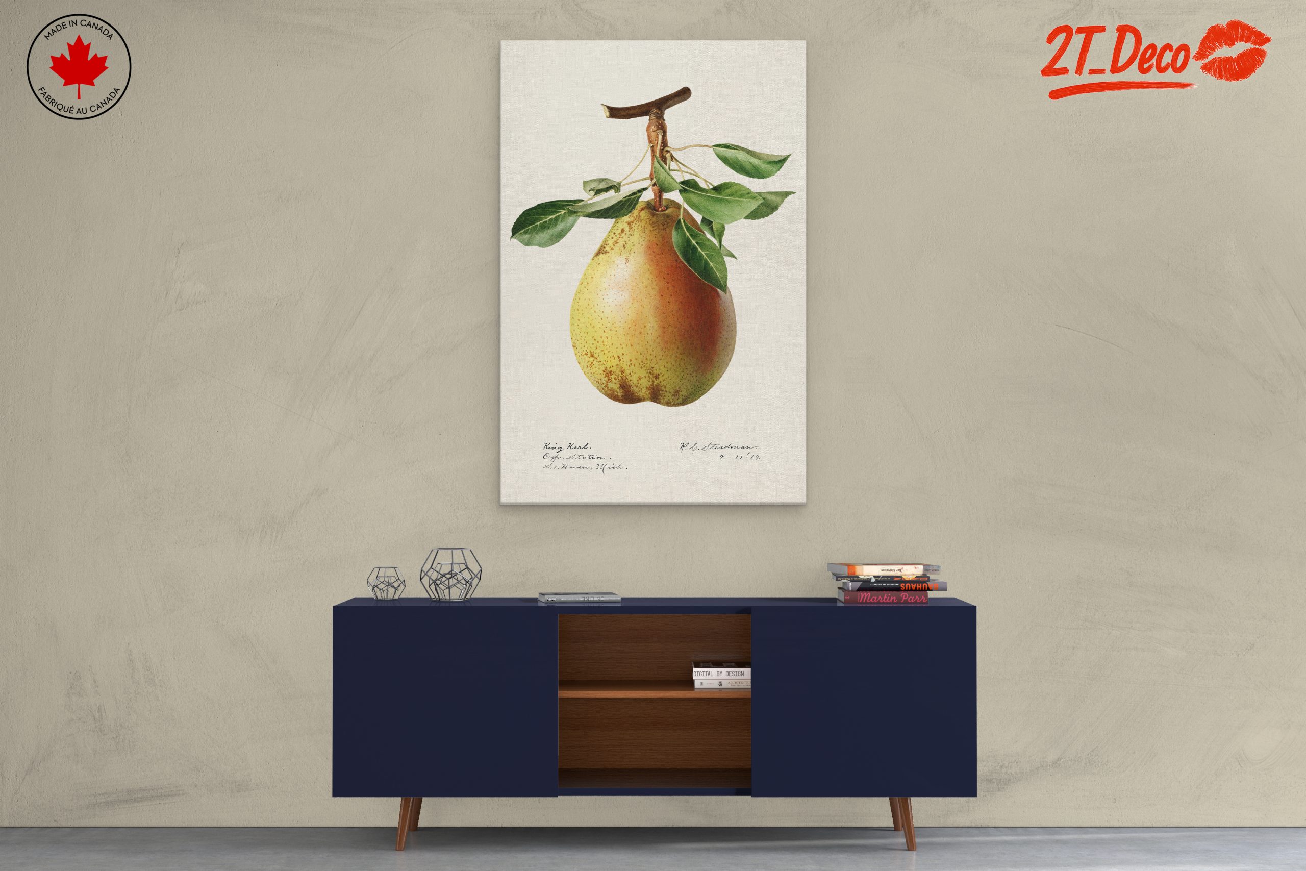 Detailed Botanical Art of a Pear - Image 3