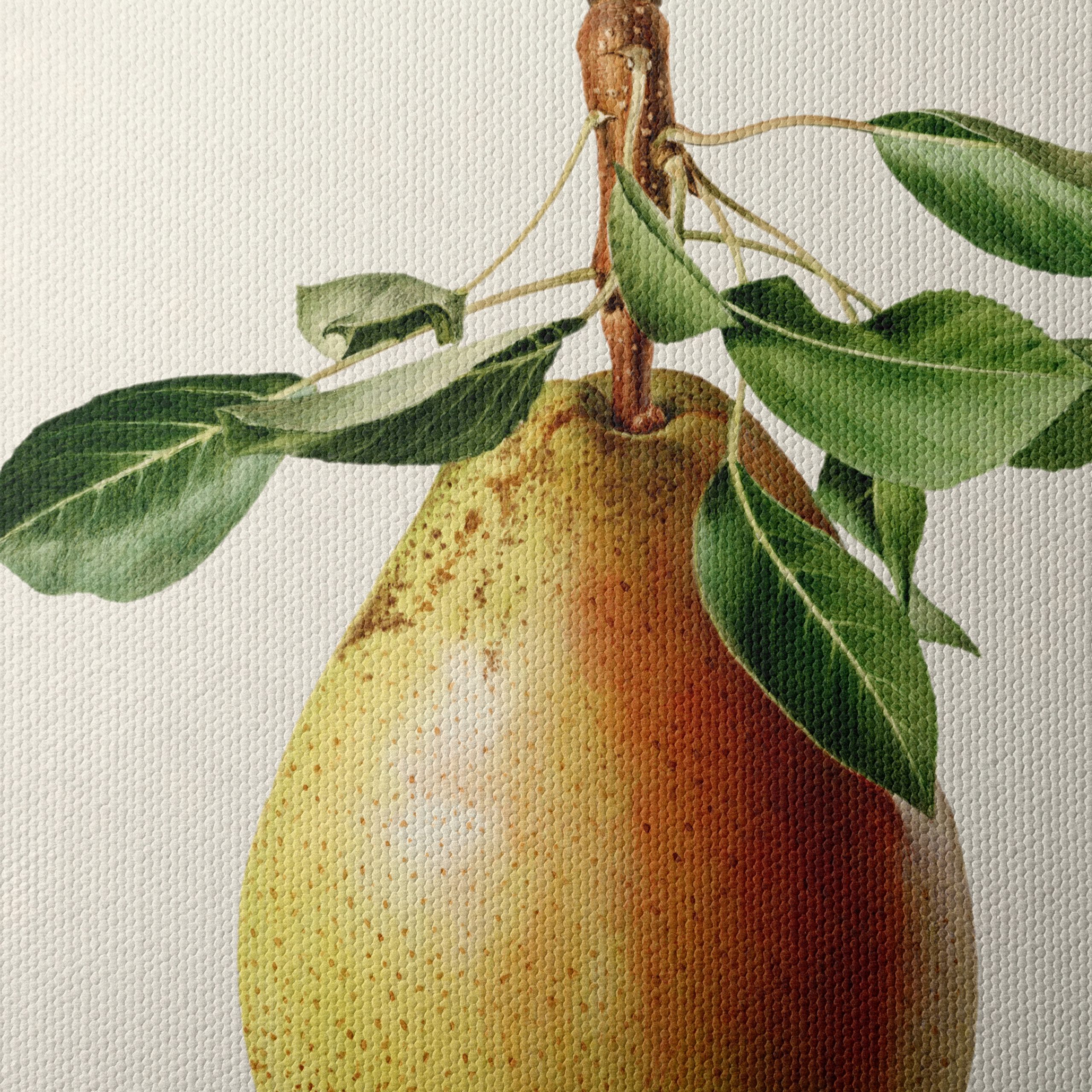 Detailed Botanical Art of a Pear - Image 4