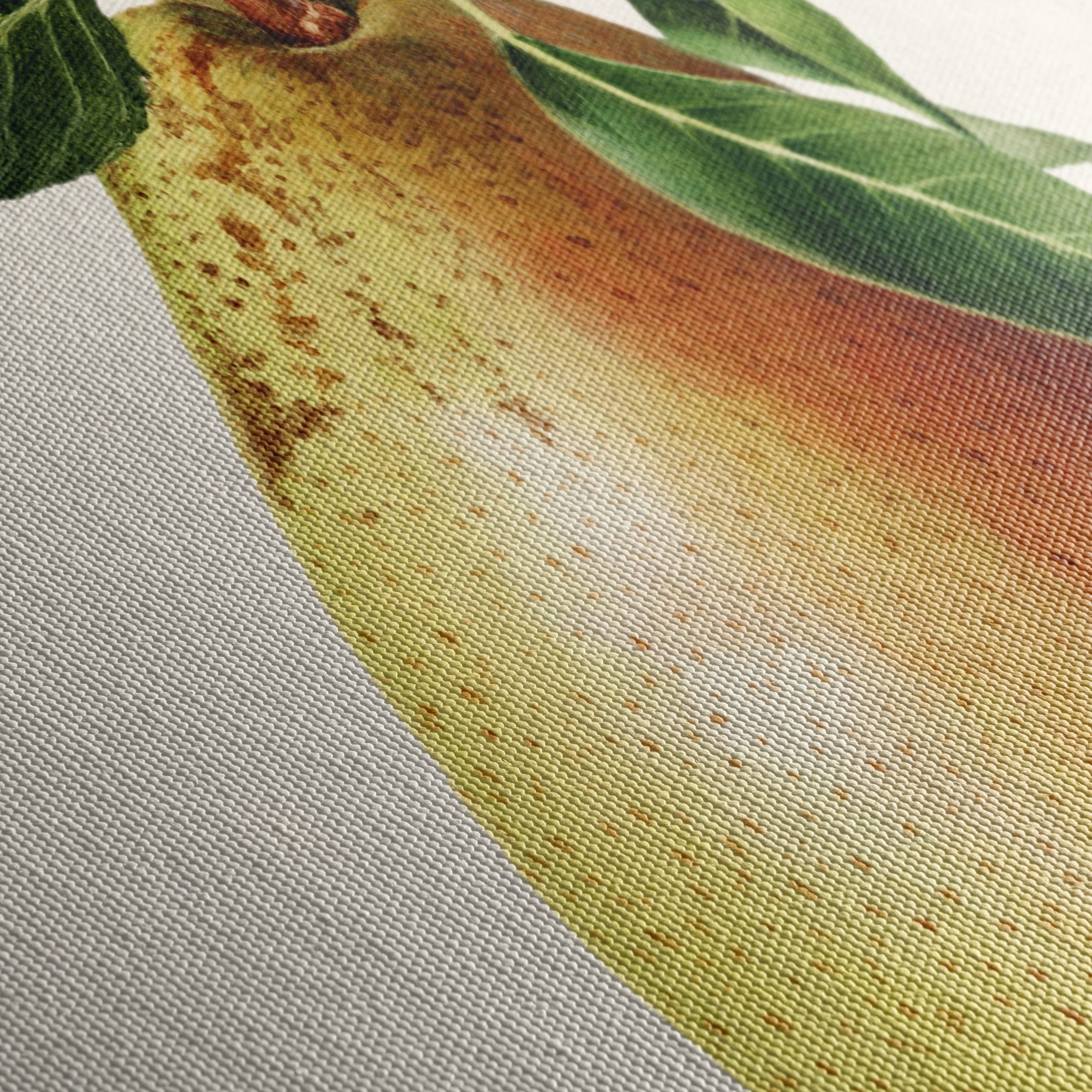 Detailed Botanical Art of a Pear - Image 5