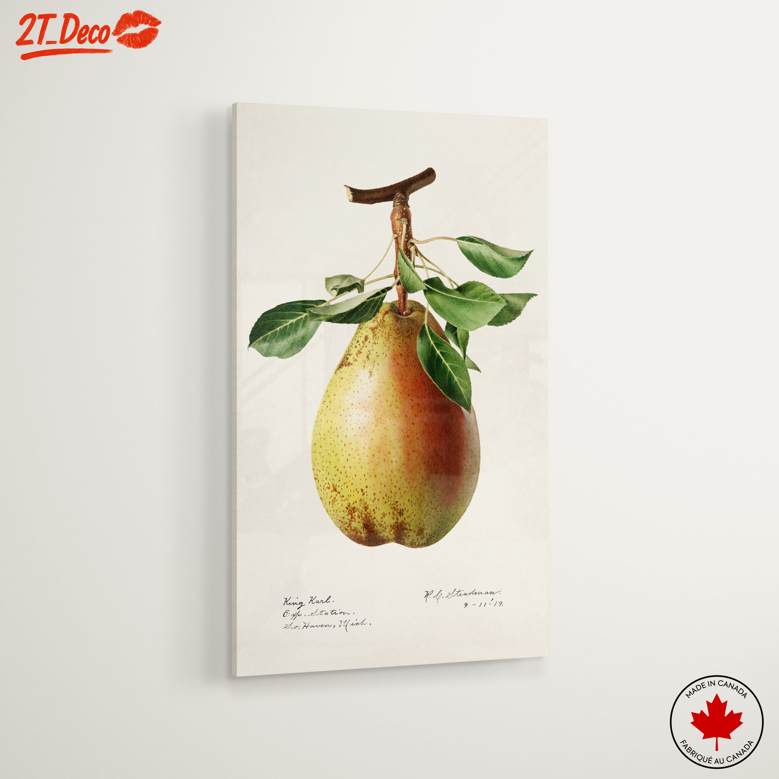Detailed Botanical Art of a Pear - Image 6