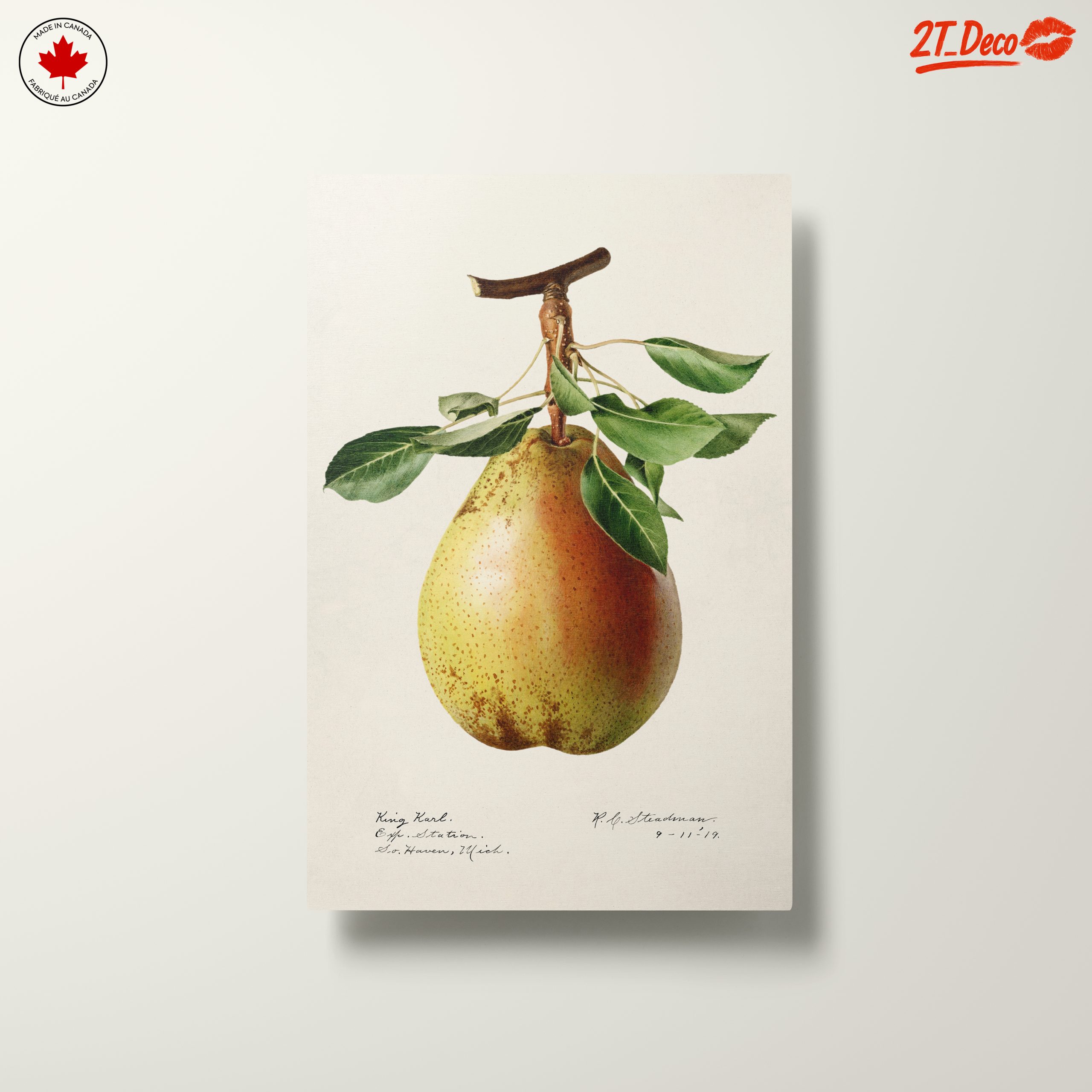 Detailed Botanical Art of a Pear - Image 10